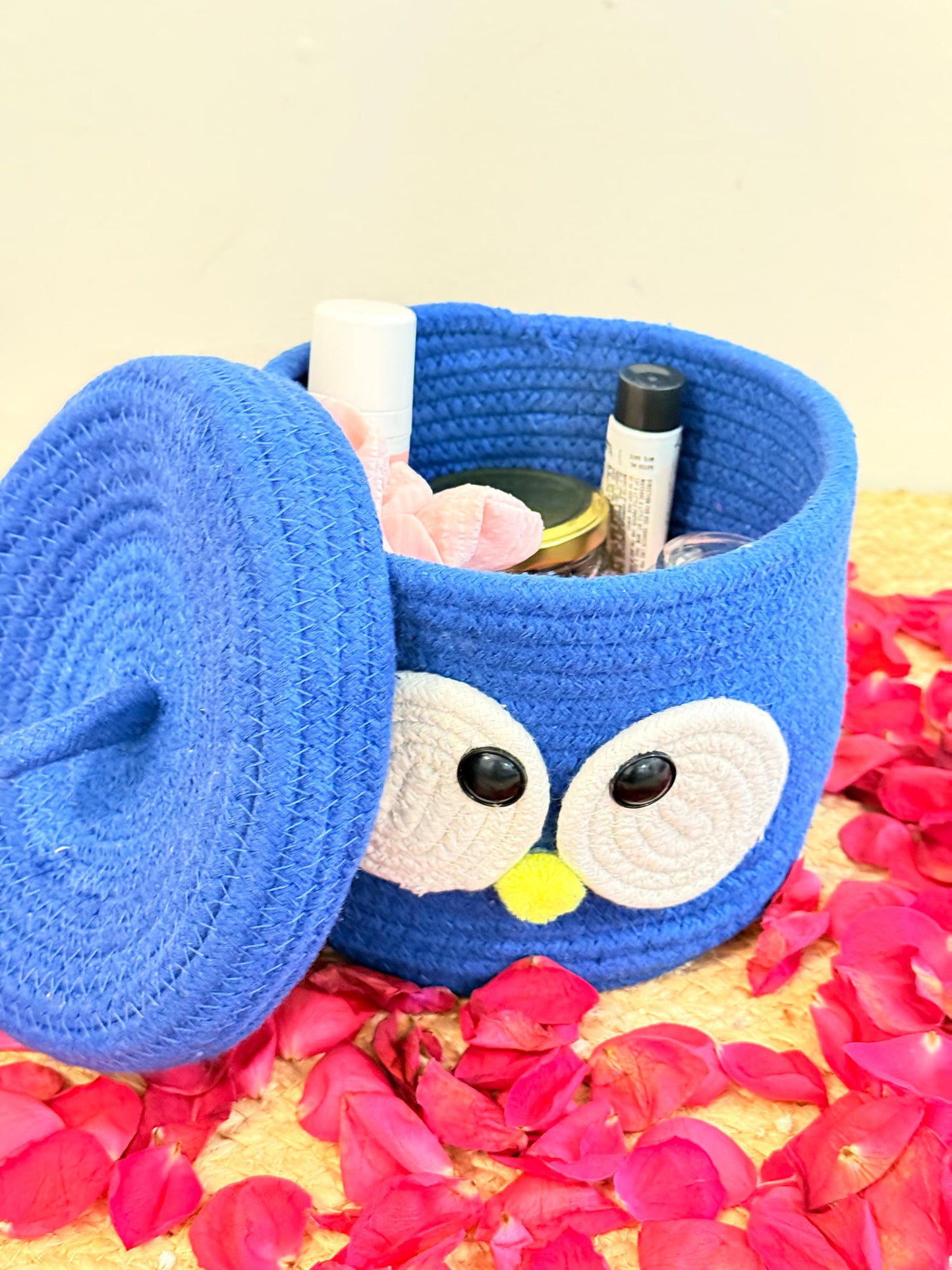 Blue Googly Eye Organiser with Cover – Fun and Functional Storage Solution