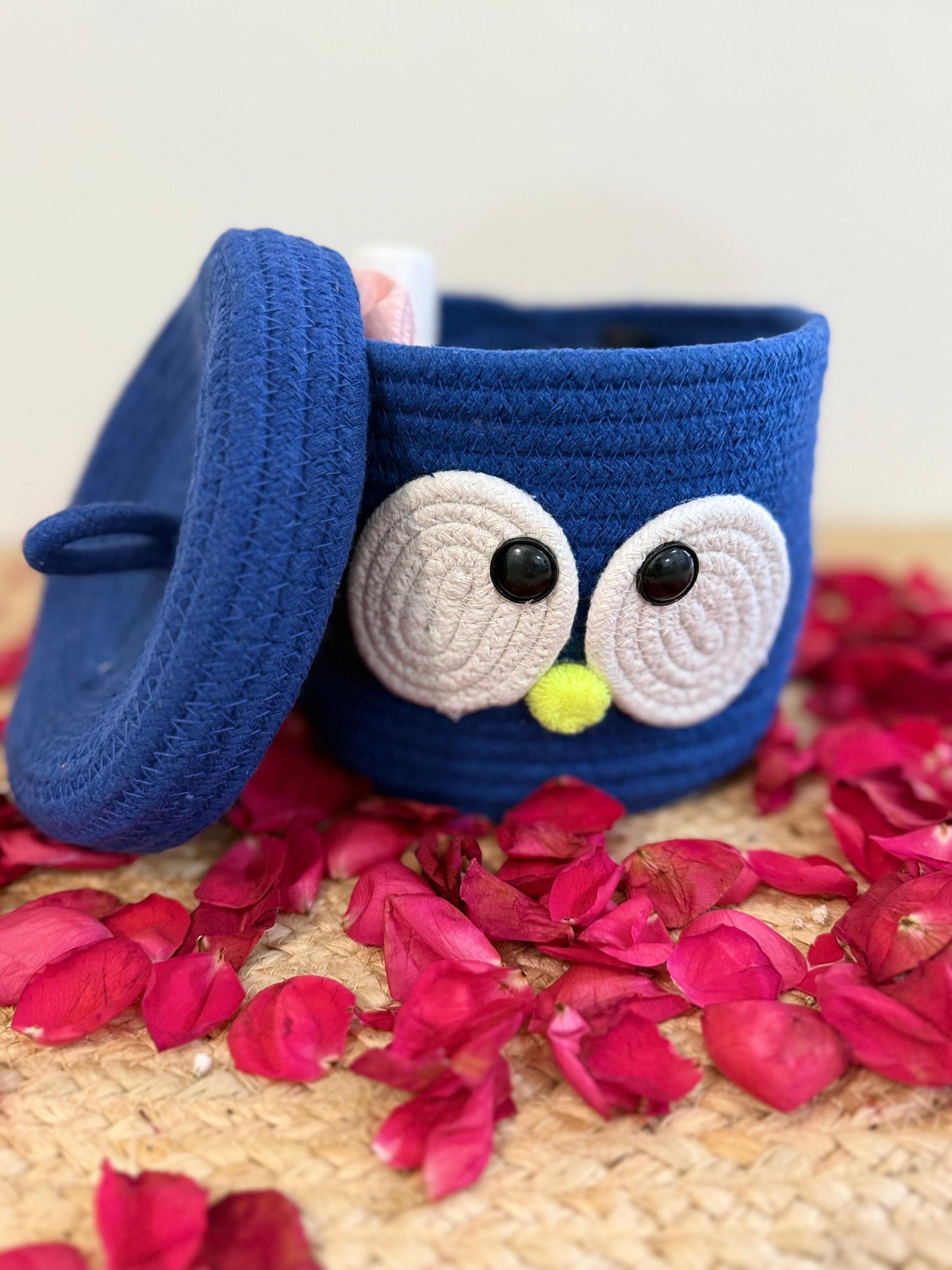Blue Googly Eye Organiser with Cover – Fun and Functional Storage Solution