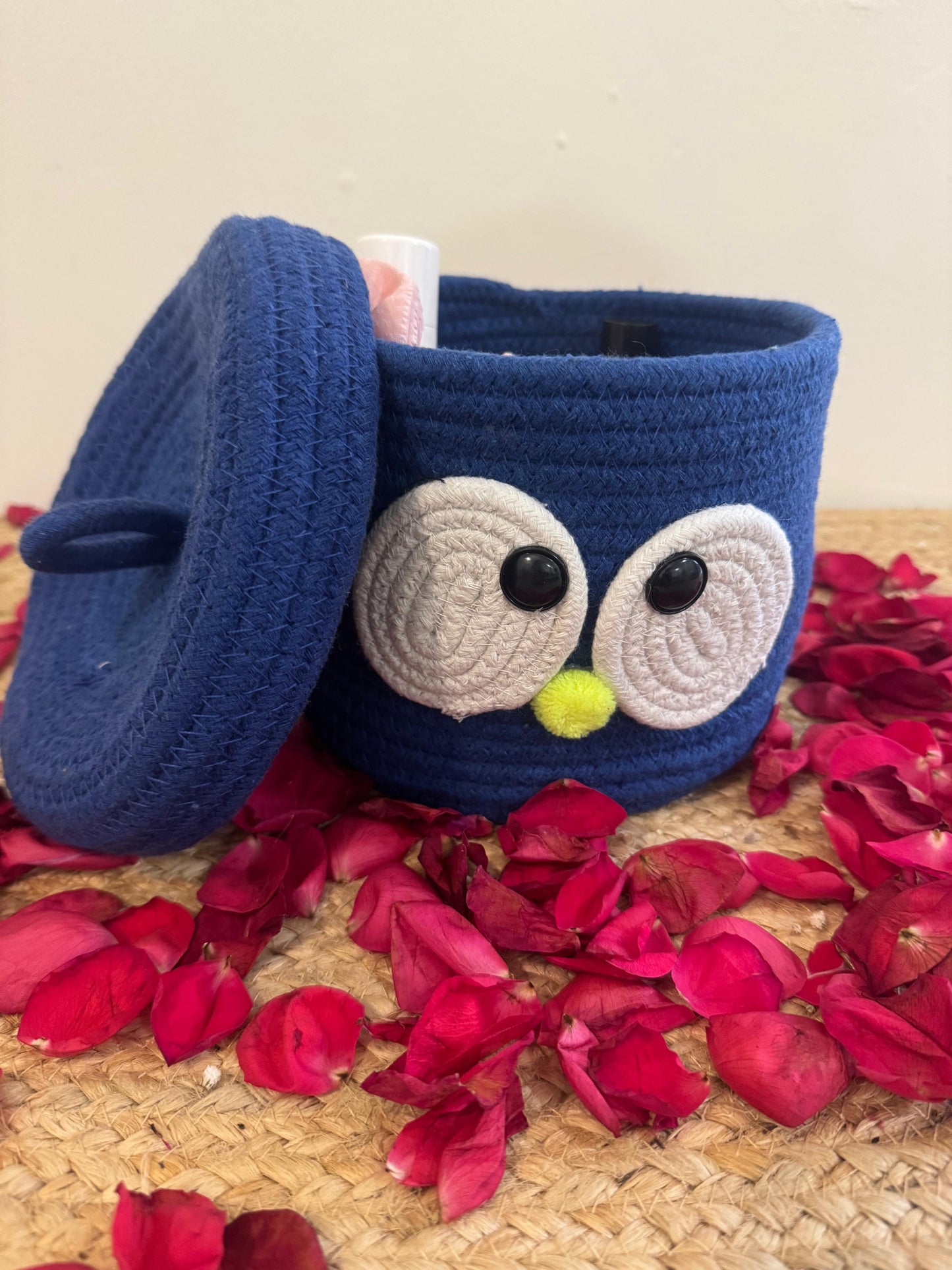 Blue Googly Eye Organiser with Cover – Fun and Functional Storage Solution