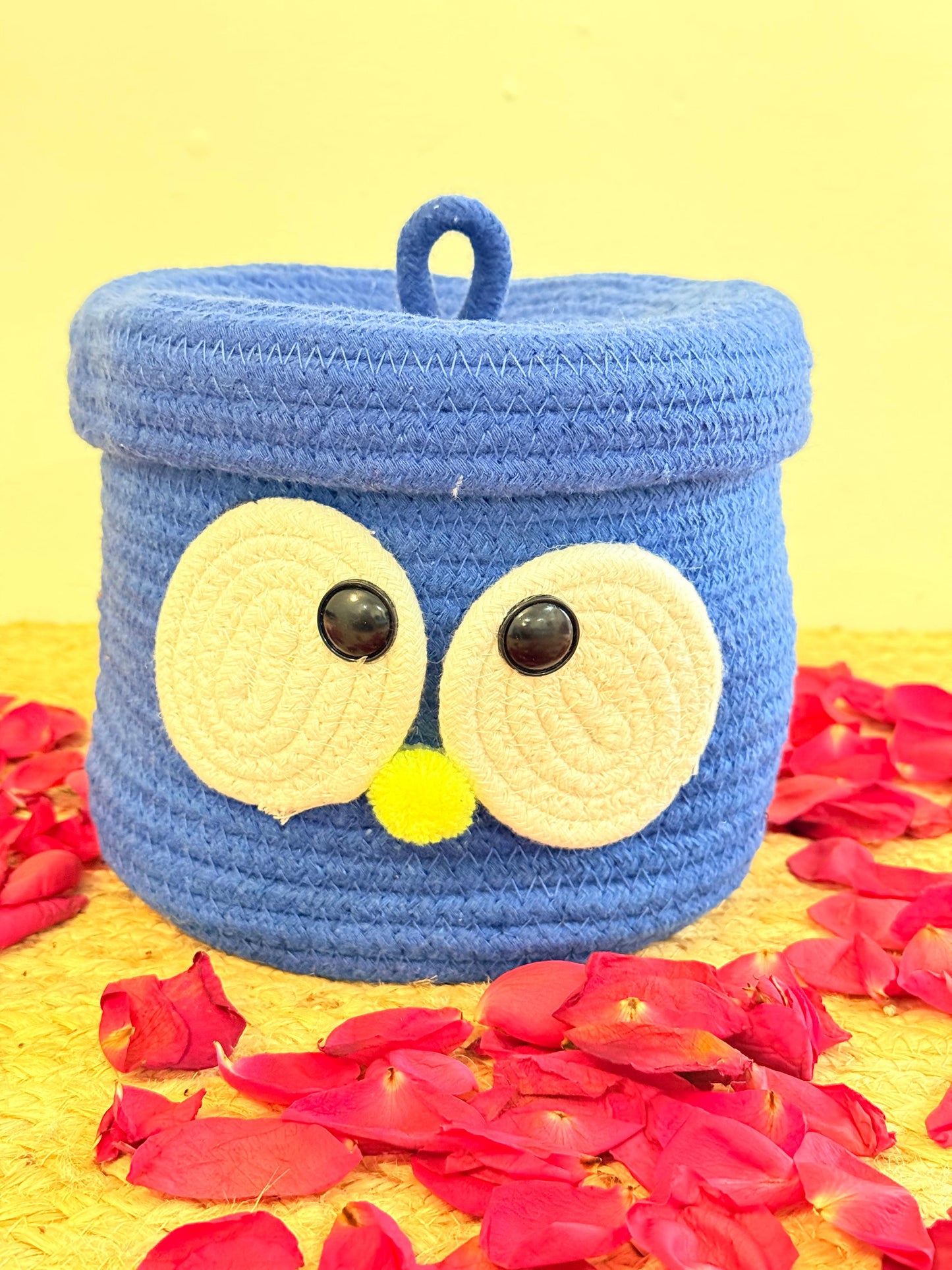 Blue Googly Eye Organiser with Cover – Fun and Functional Storage Solution
