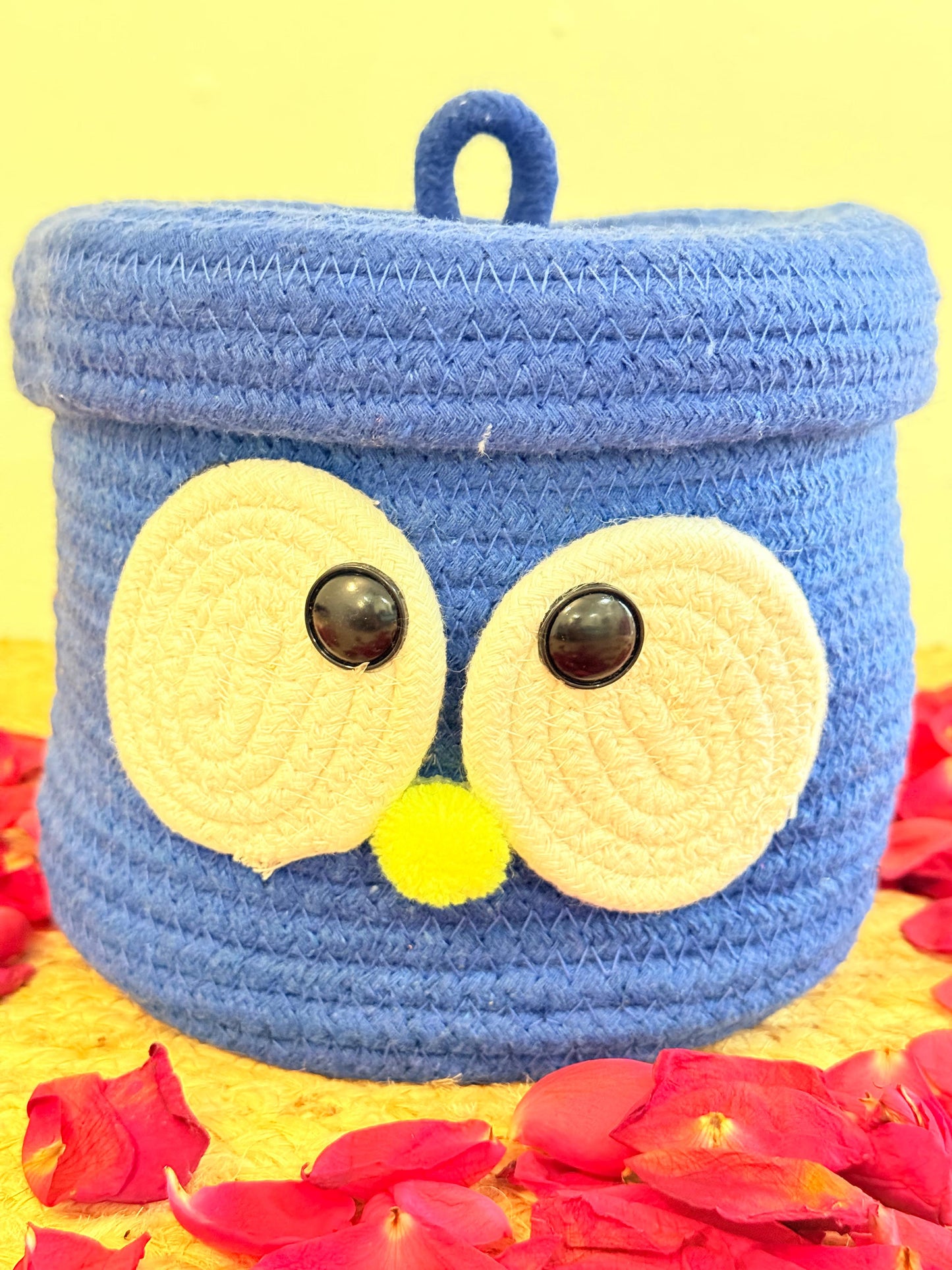Blue Googly Eye Organiser with Cover – Fun and Functional Storage Solution