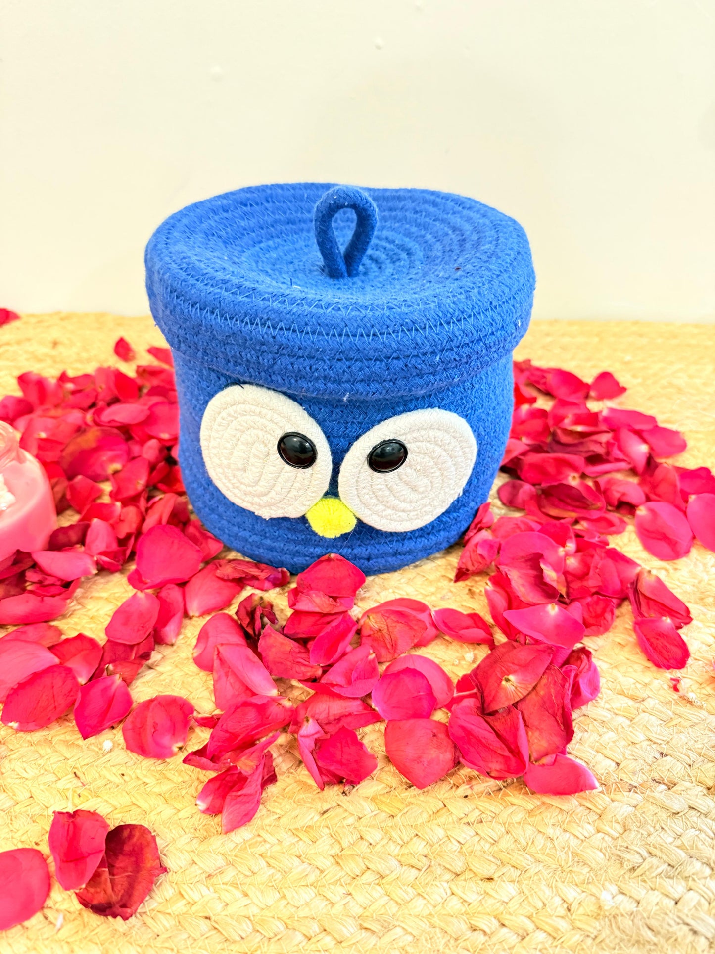 Blue Googly Eye Organiser with Cover – Fun and Functional Storage Solution