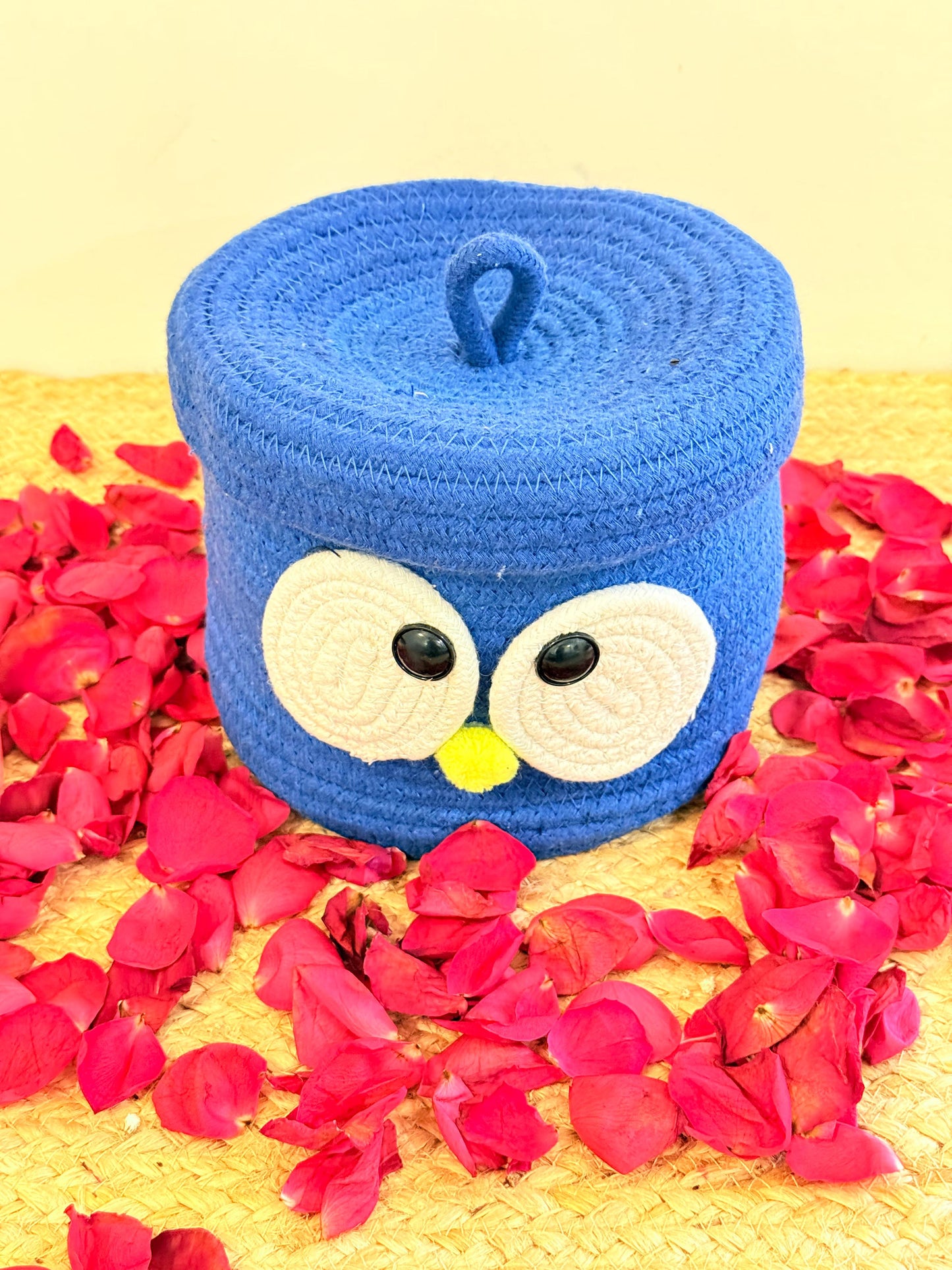 Blue Googly Eye Organiser with Cover – Fun and Functional Storage Solution
